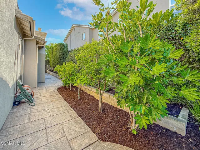 lBackyard11