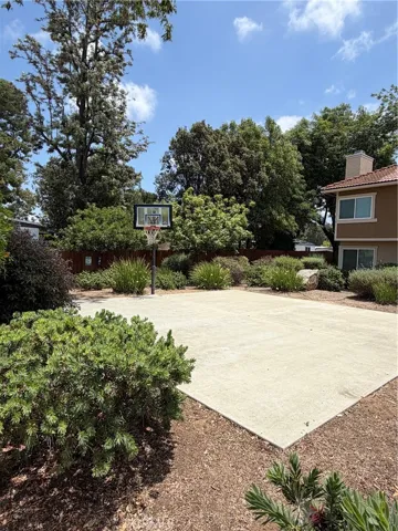 Basketball Court