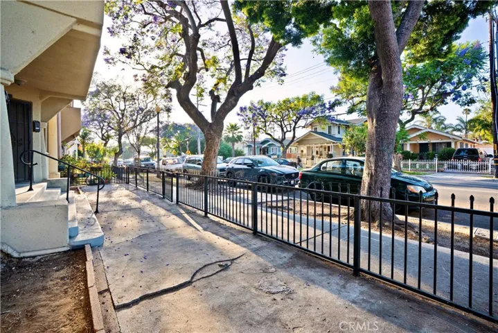 View of the Street from the stoop.