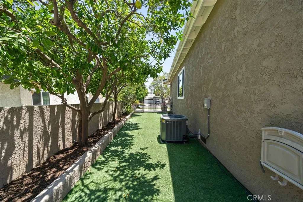 3 FRUIT TREES