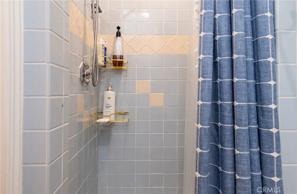 Master bathroom standing shower