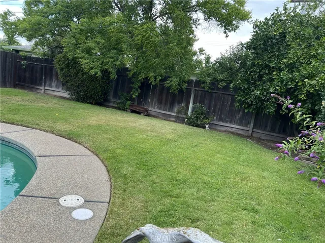 Back yard