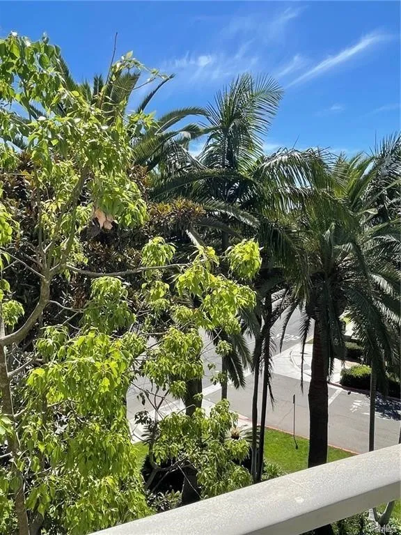 View from balcony
