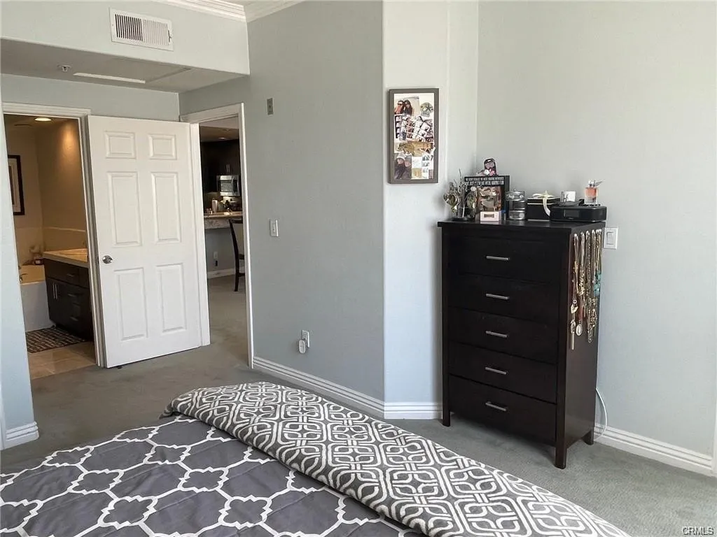 Master bedroom with plush carpet