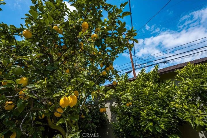 3915 Lime, Long Beach, California 90807