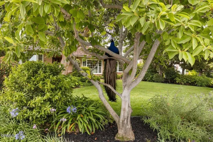 Lower Rancho Neighborhood