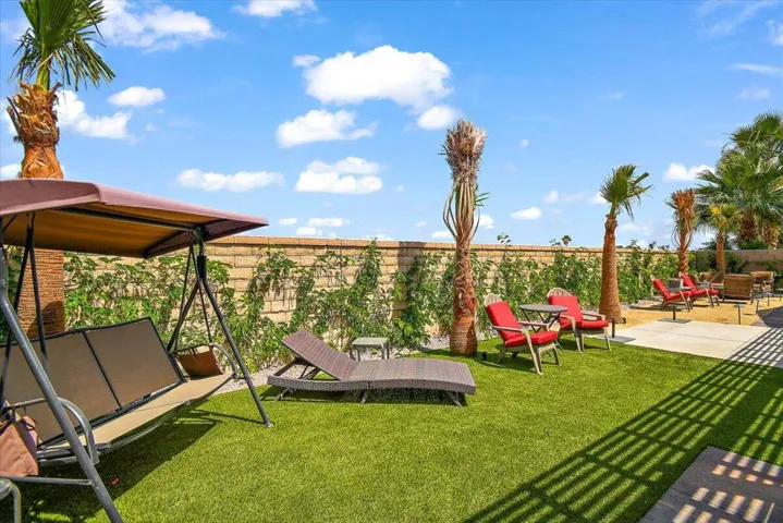 backyard7