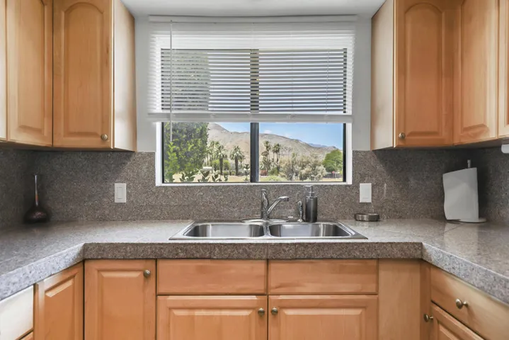 Ocotillo45780#10