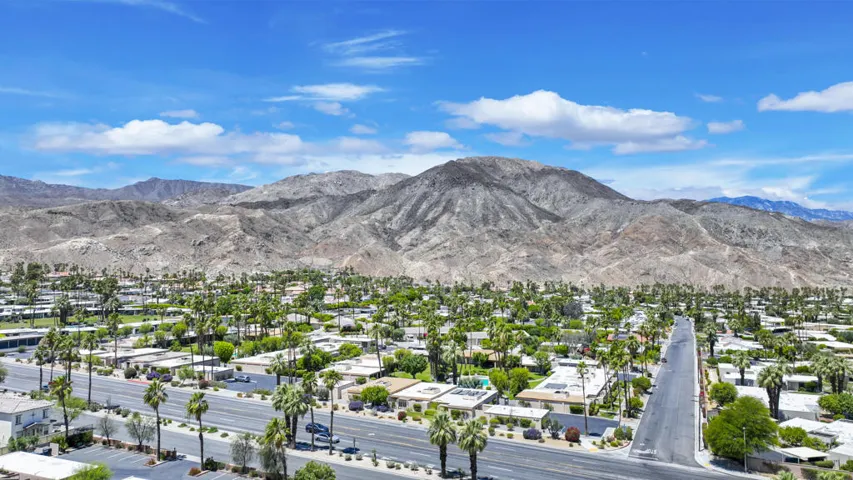 Ocotillo45780#36