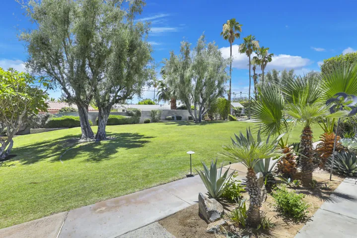 Ocotillo45780#22