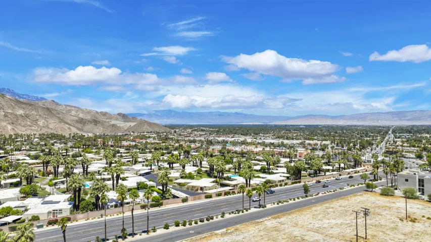 Ocotillo45780#37