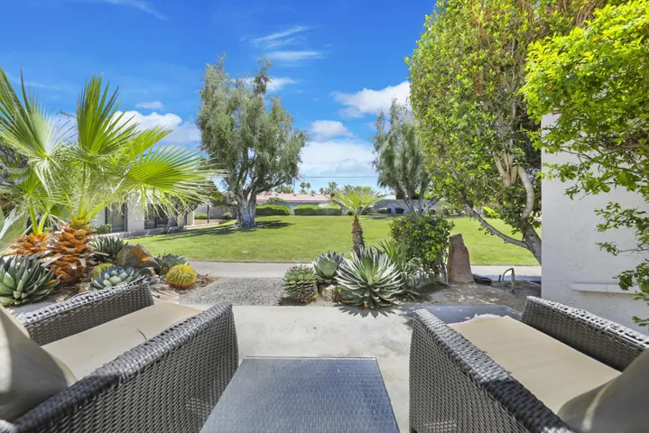 Ocotillo45780#21