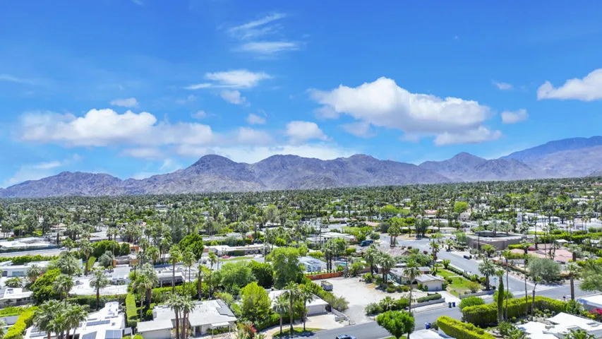 Ocotillo45780#34