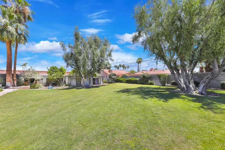 Ocotillo45780#31