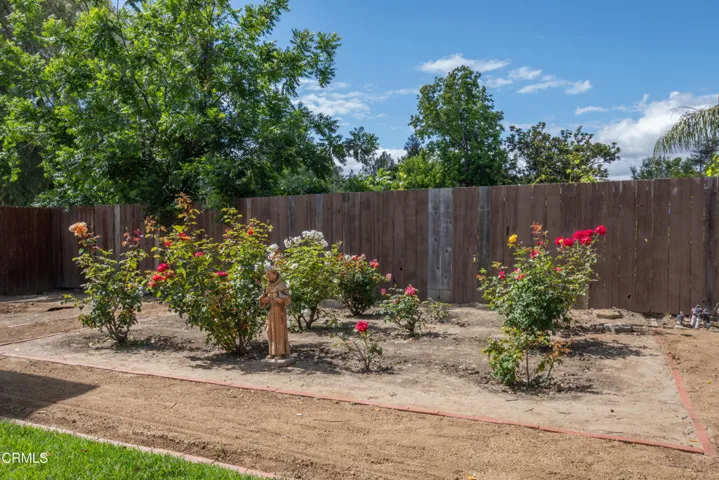 Rose garden