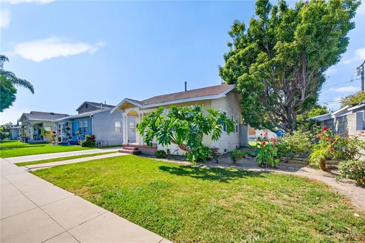 Front Yard