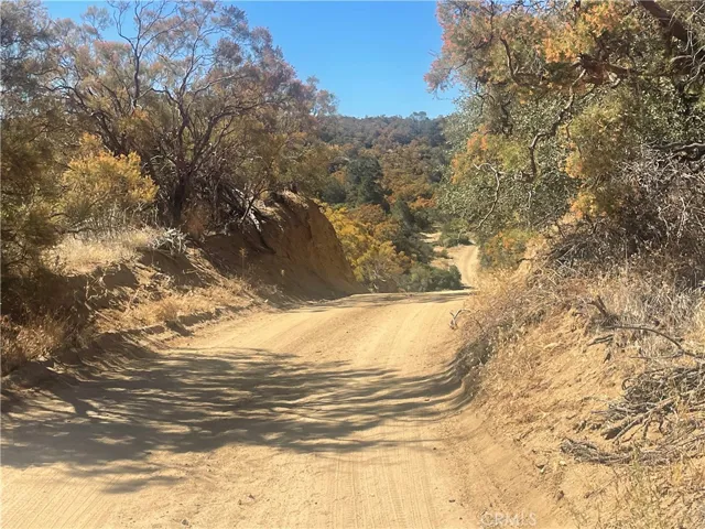 many paths throughout