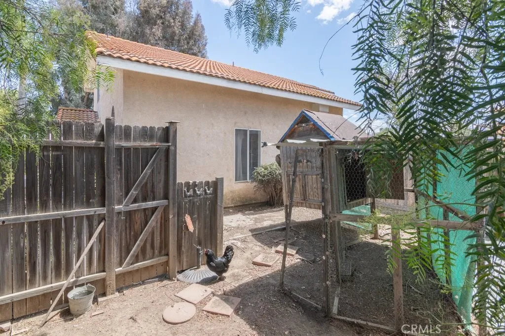 chicken yard