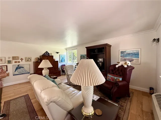 111 Via Estrada E, Laguna Woods, California 92637