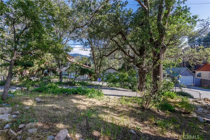 29288 Lake View, Cedar Glen, California 92321