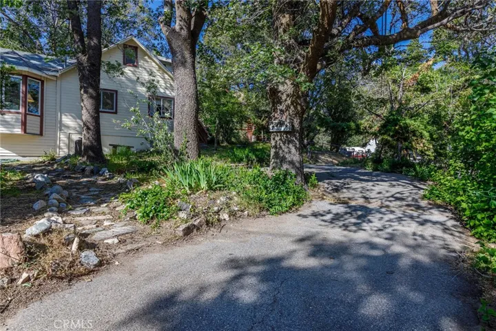 29288 Lake View, Cedar Glen, California 92321