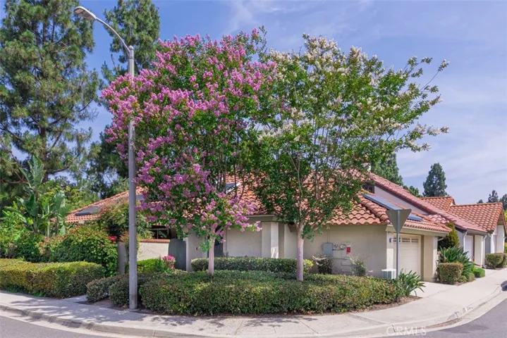 Welcome to 6 Fabriano! Fabulous corner lot.