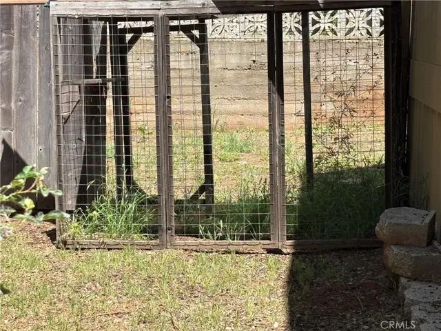 Backyard/dog pen