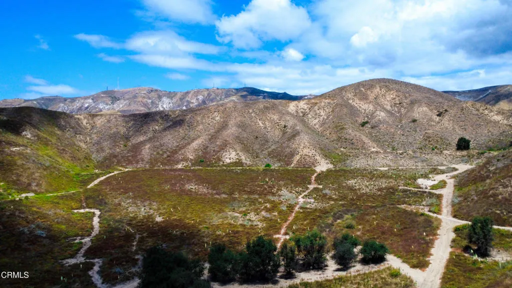 DJI_0190(1)