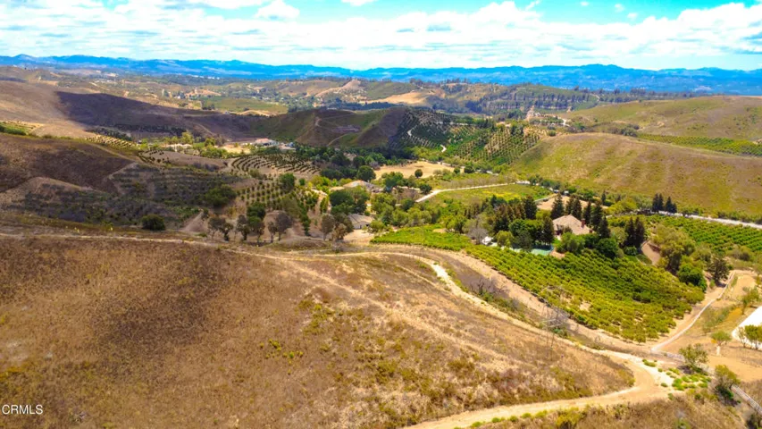 DJI_0184