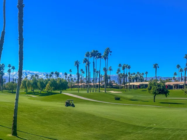 PalmValleyStock#9