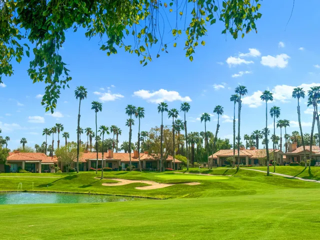PalmValleyStock#10
