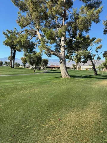 course