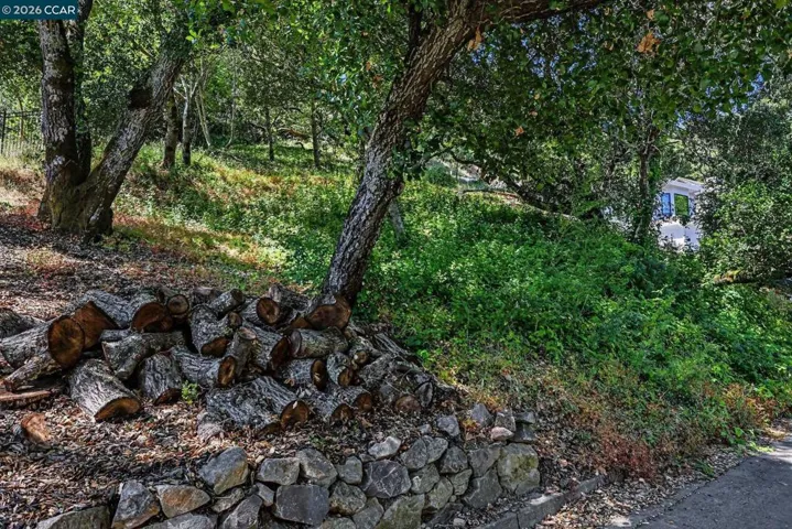 46 Oak Rd, Orinda, California 94563 — photo 4
