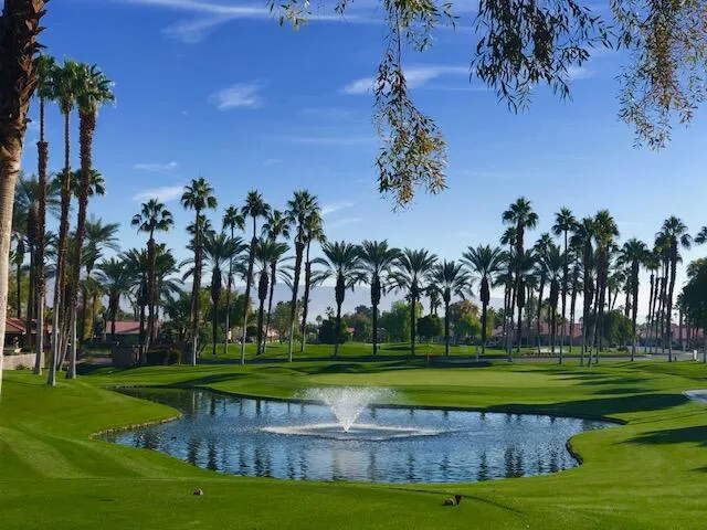pdg water palm trees