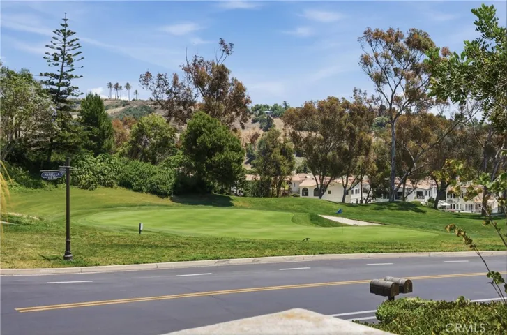 30891 Marbella Vista, San Juan Capistrano, California 92675