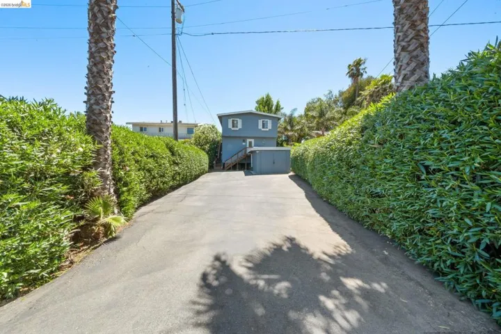 Long asphalt driveway flanked by tall, manicured hedges and mature palm trees