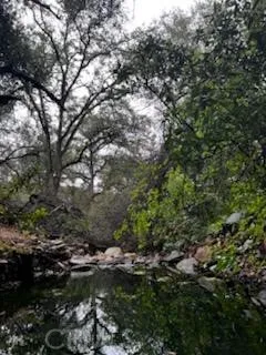 Guadalupe Creek in front of of gate to property