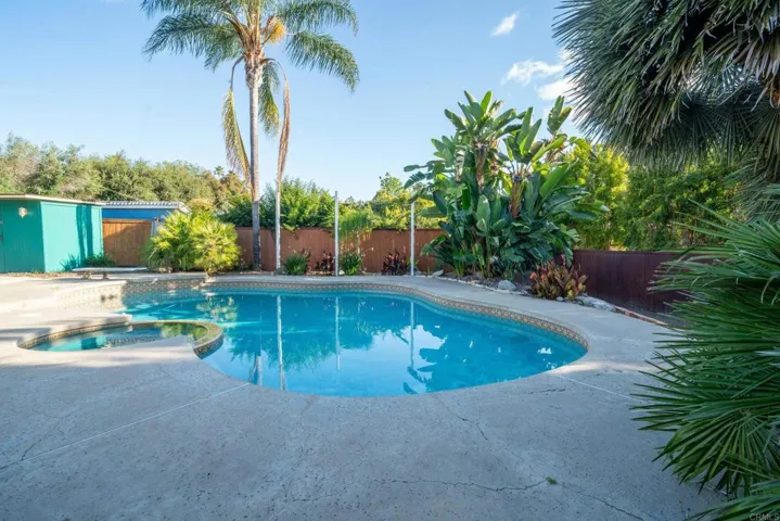 Pool & Backyard