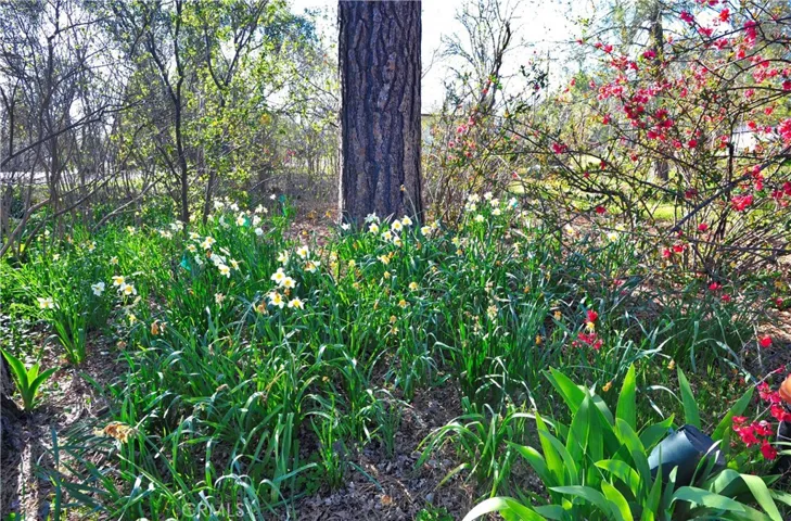 Nature at work on this special property.