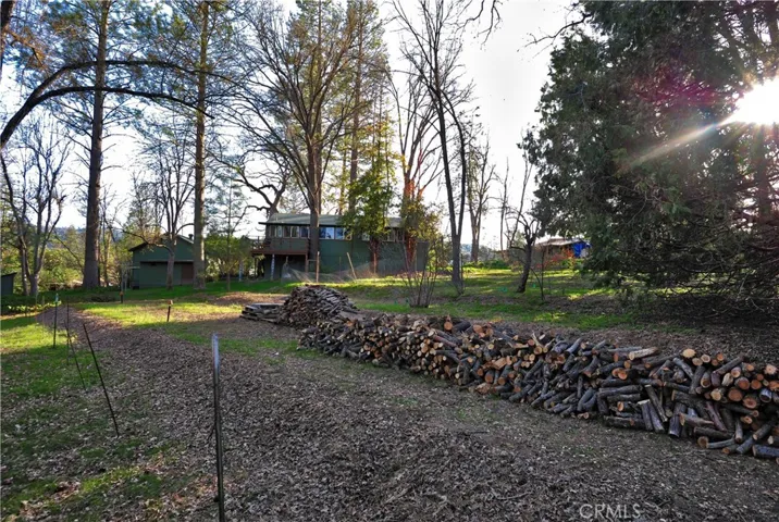 Lots of Firewood for that fireplace. What a wonderful place to spend time.