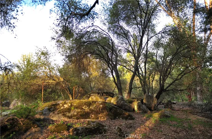 Backyard view of rock outcropping near the creek that runs through your property.