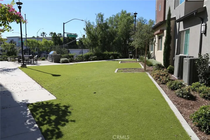 Dog Park