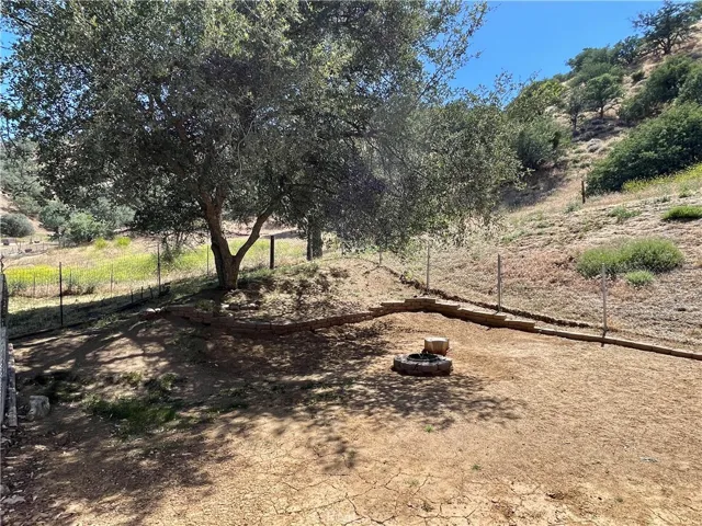 Fenced Yard