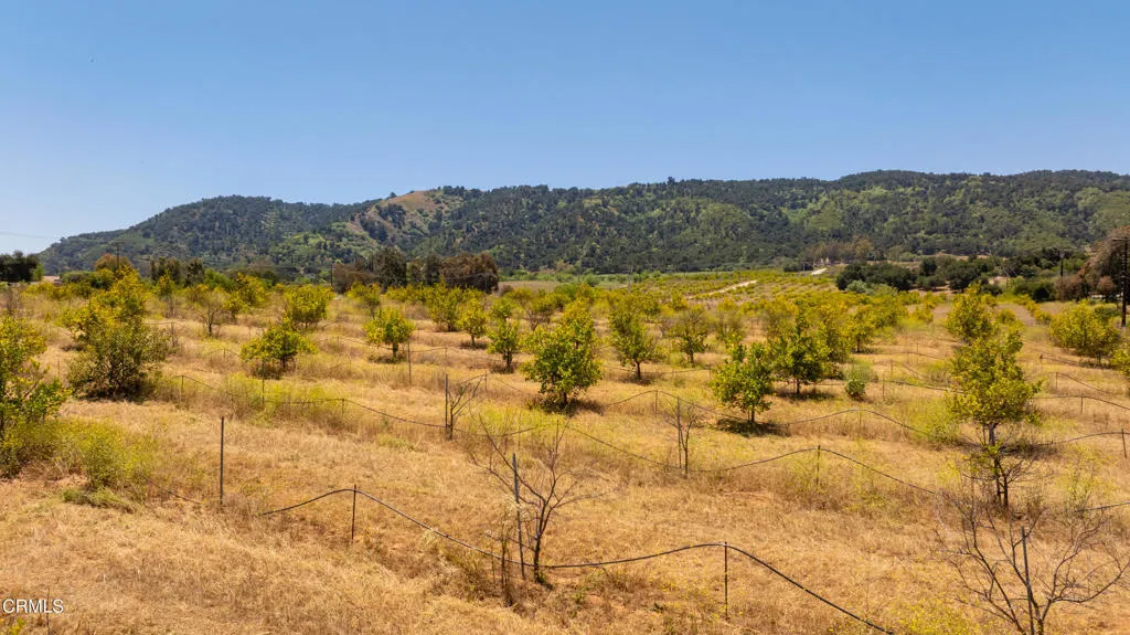 S8C_122400 Ojai Santa Paula Rd_005