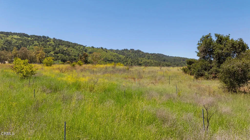 S8C_122400 Ojai Santa Paula Rd_018