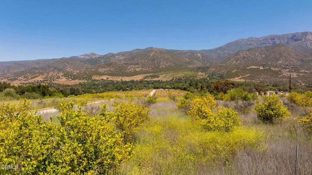 S8C_122400 Ojai Santa Paula Rd_009