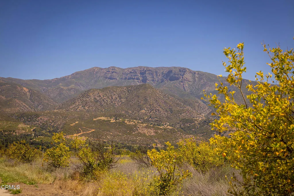 S8C_122400 Ojai Santa Paula Rd_006