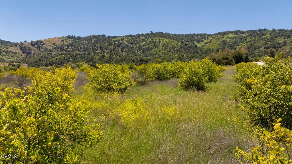 S8C_122400 Ojai Santa Paula Rd_017