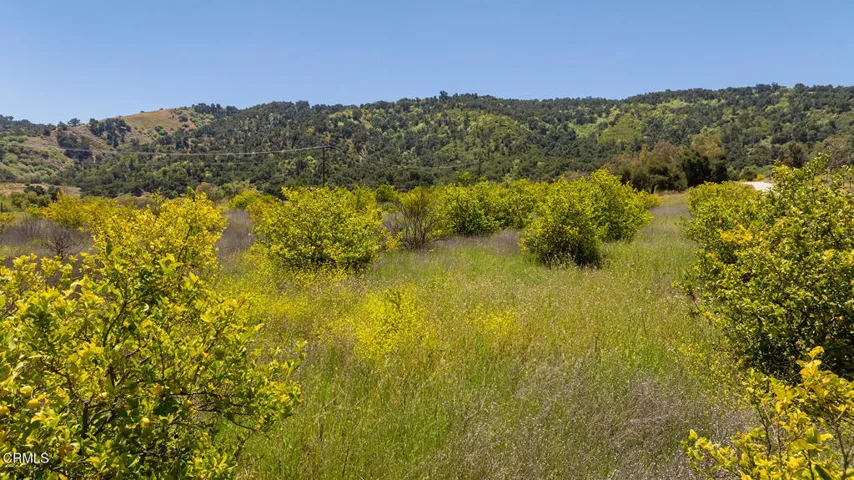 S8C_122400 Ojai Santa Paula Rd_017