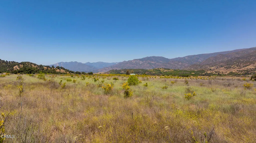 S8C_122400 Ojai Santa Paula Rd_020